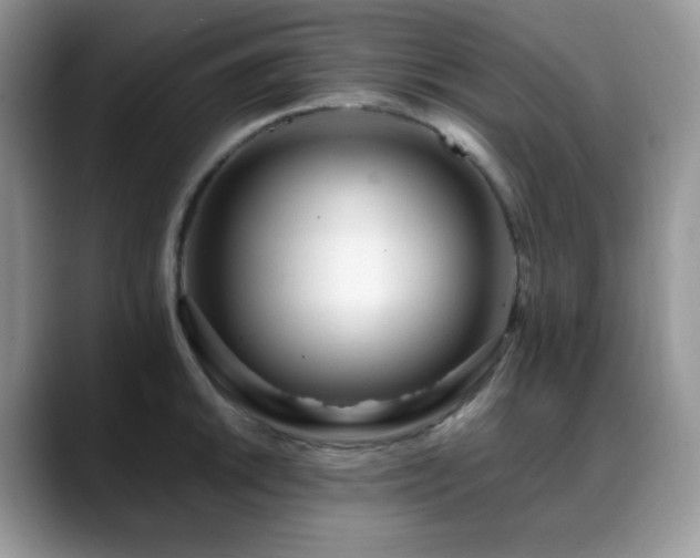 X0000088911046200706081338