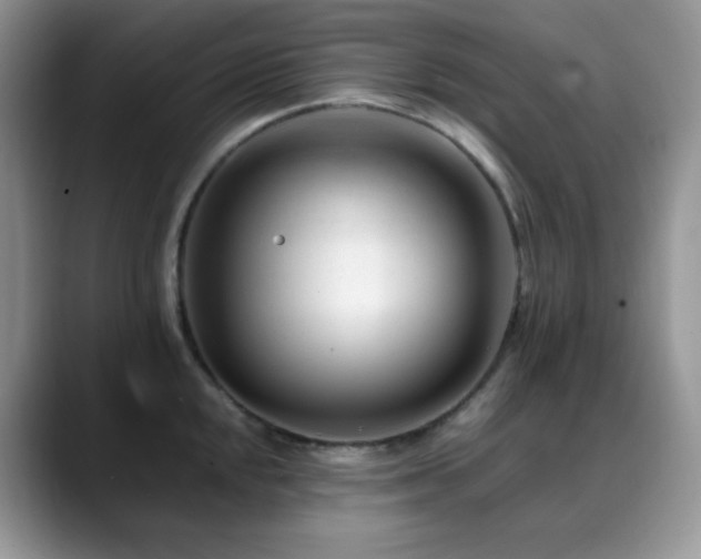 X0000088911048200706081338