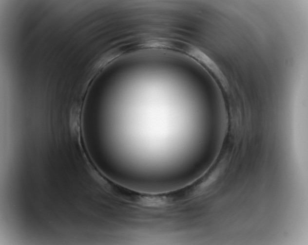 X0000088911049200706081338