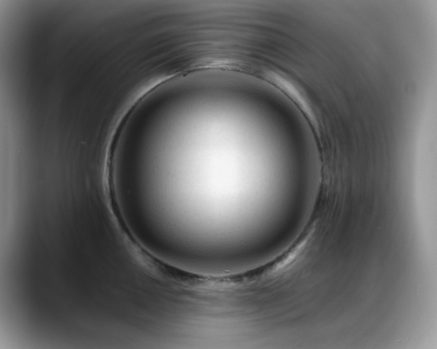 X0000088911050200706081338