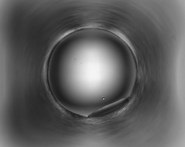 X0000088911053200706081338