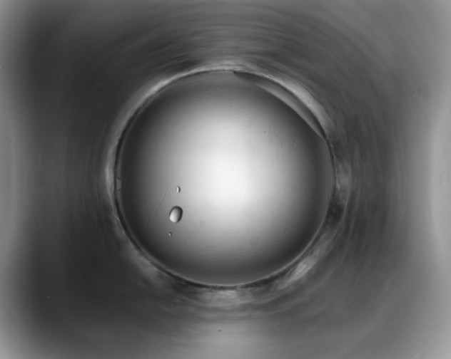 X0000088911054200706081338