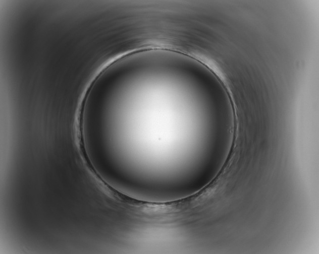 X0000088911056200706081338