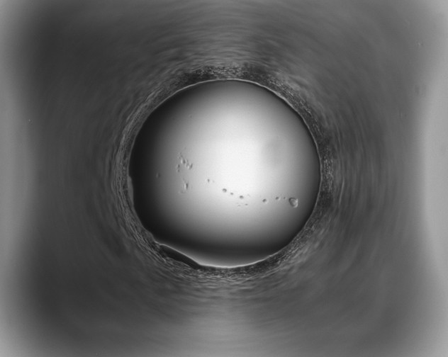 X0000088911057200706081337