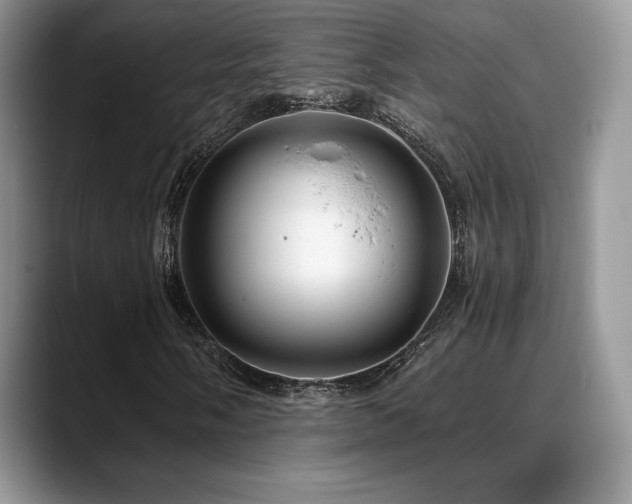 X0000088911058200706081337