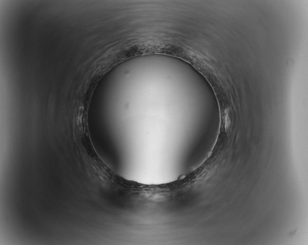 X0000088911059200706081337