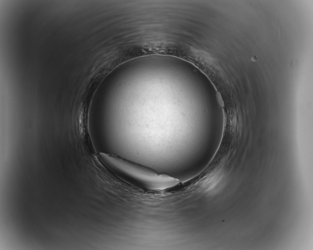 X0000088911060200706081337