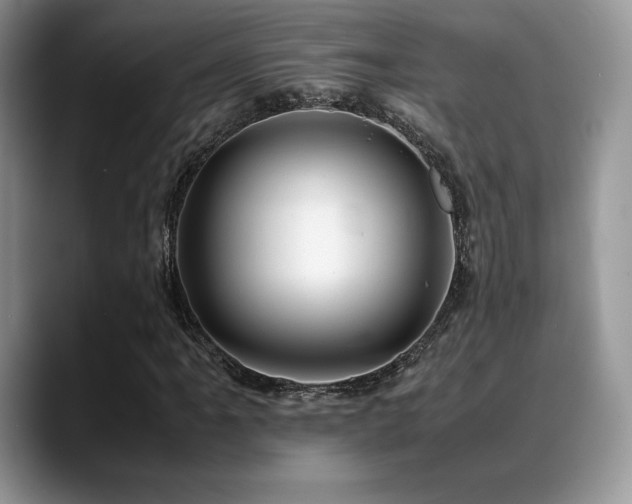 X0000088911061200706081337