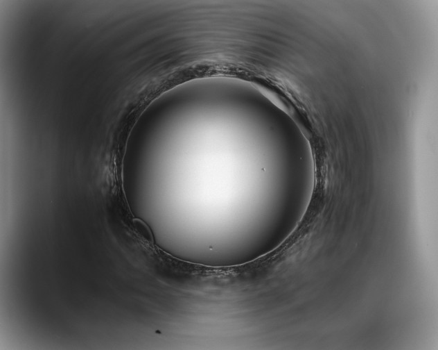 X0000088911062200706081337
