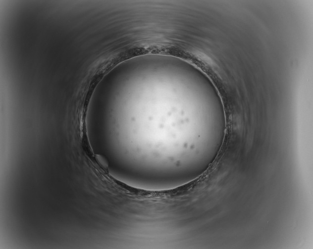X0000088911063200706081337