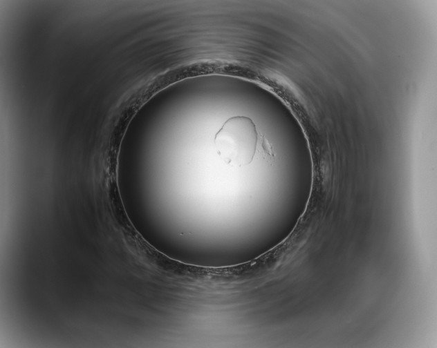 X0000088911064200706081337