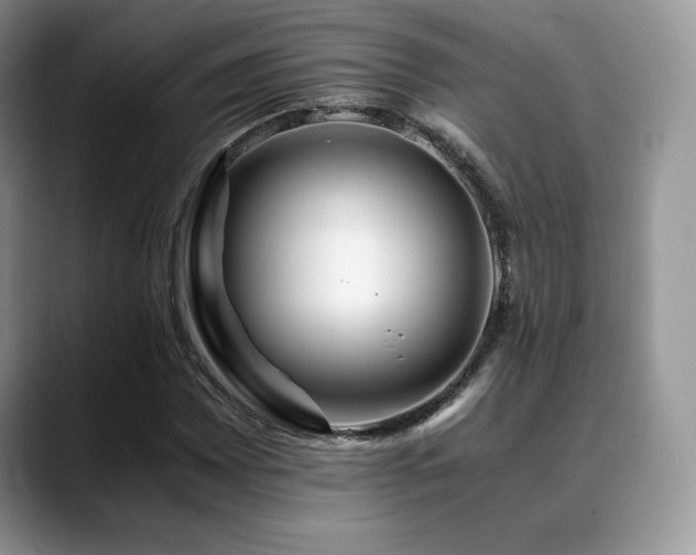 X0000088911065200706081337