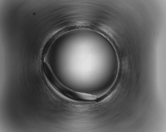 X0000088911066200706081337