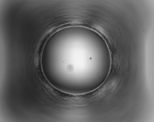 X0000088911067200706081337