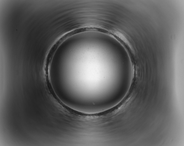 X0000088911068200706081337