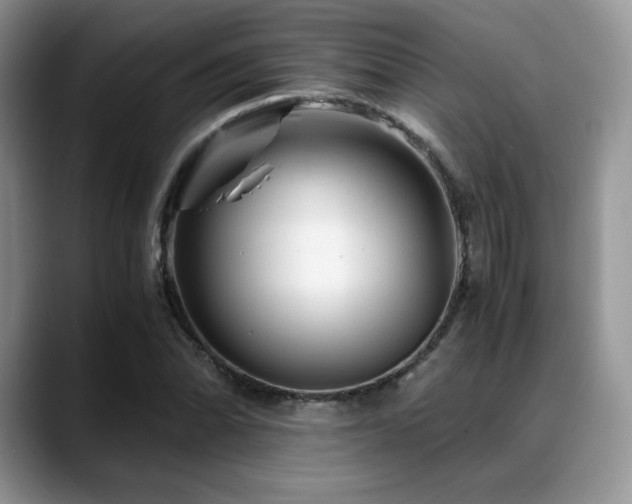 X0000088911070200706081337