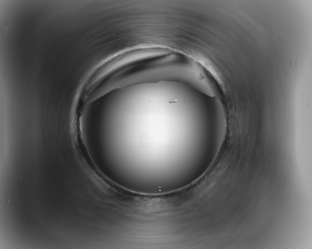 X0000088911072200706081337