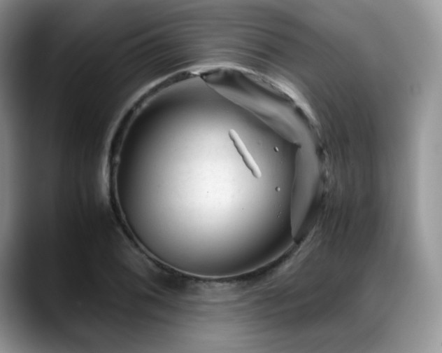 X0000088911076200706081337
