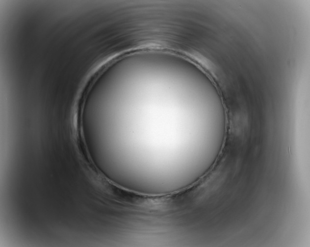 X0000088911078200706081337