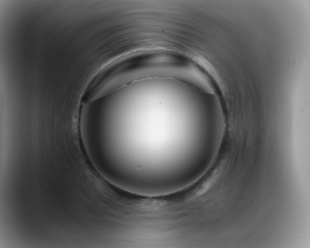 X0000088911081200706081337