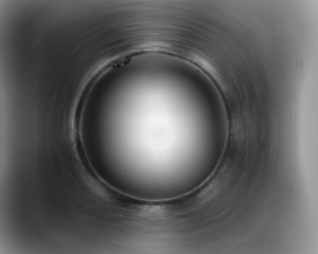 X0000088911082200706081337