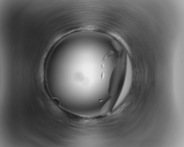 X0000088911083200706081337