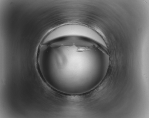 X0000088911087200706081337