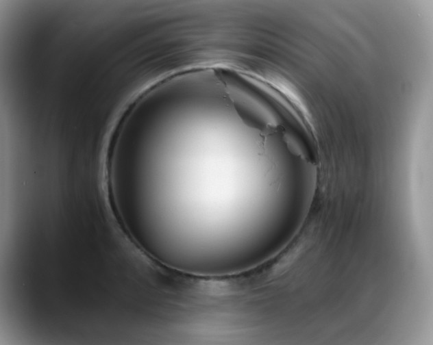 X0000088911088200706081337
