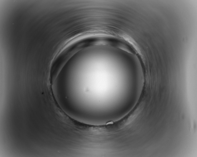 X0000088911089200706081337