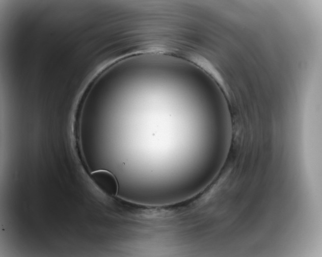 X0000088911091200706081337