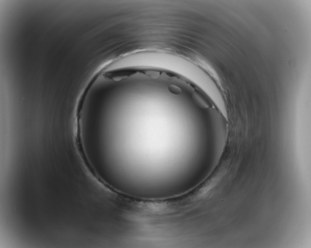 X0000088911095200706081337