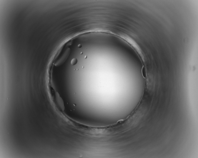 X0000088911096200706081337
