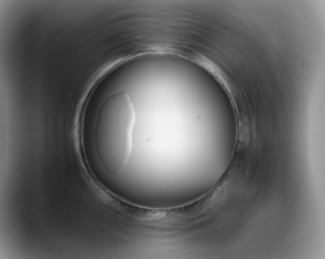 X0000088911098200706081337