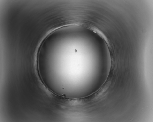 X0000088911099200706081337