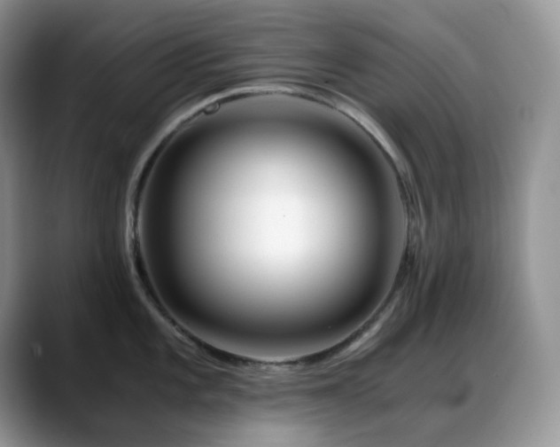 X0000088911101200706081337