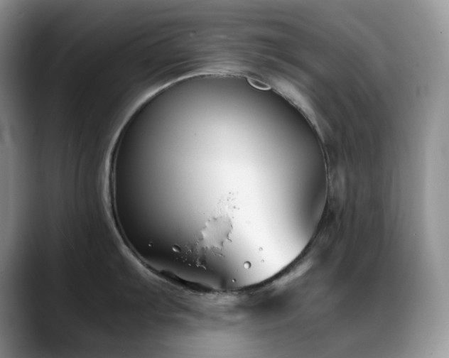X0000088911103200706081337