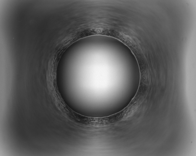 X0000088911105200706081336