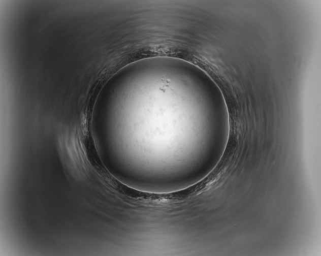X0000088911106200706081336