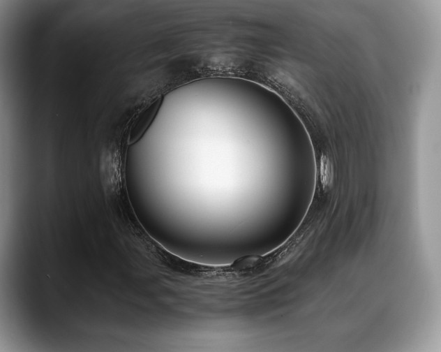 X0000088911107200706081336