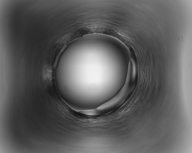 X0000088911108200706081336