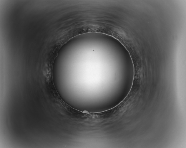 X0000088911109200706081336