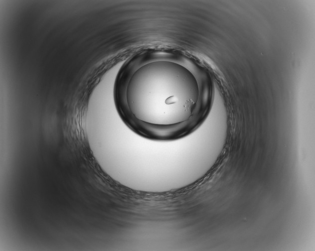 X0000088911112200706081336