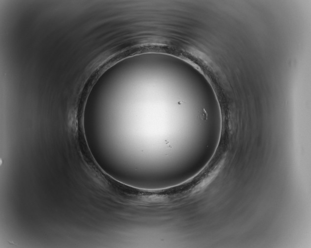 X0000088911113200706081336