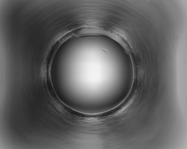 X0000088911114200706081336