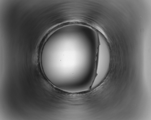 X0000088911116200706081336