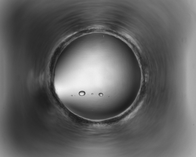 X0000088911117200706081336