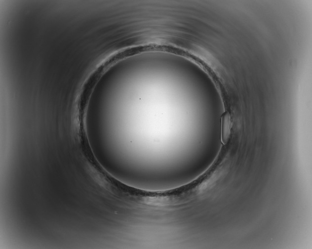 X0000088911118200706081336
