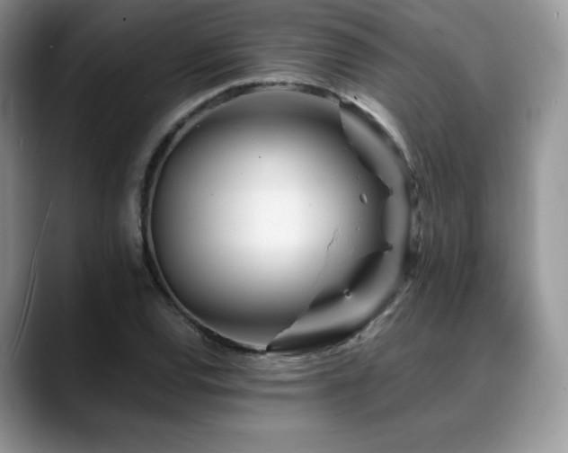 X0000088911120200706081336