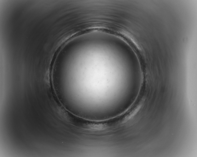 X0000088911121200706081336