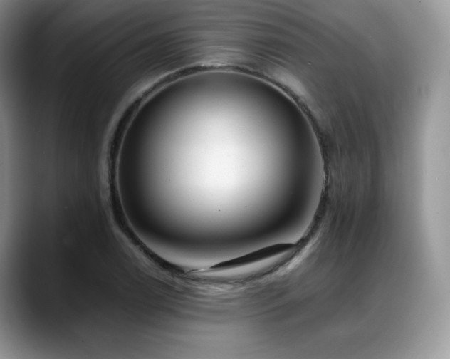 X0000088911122200706081336
